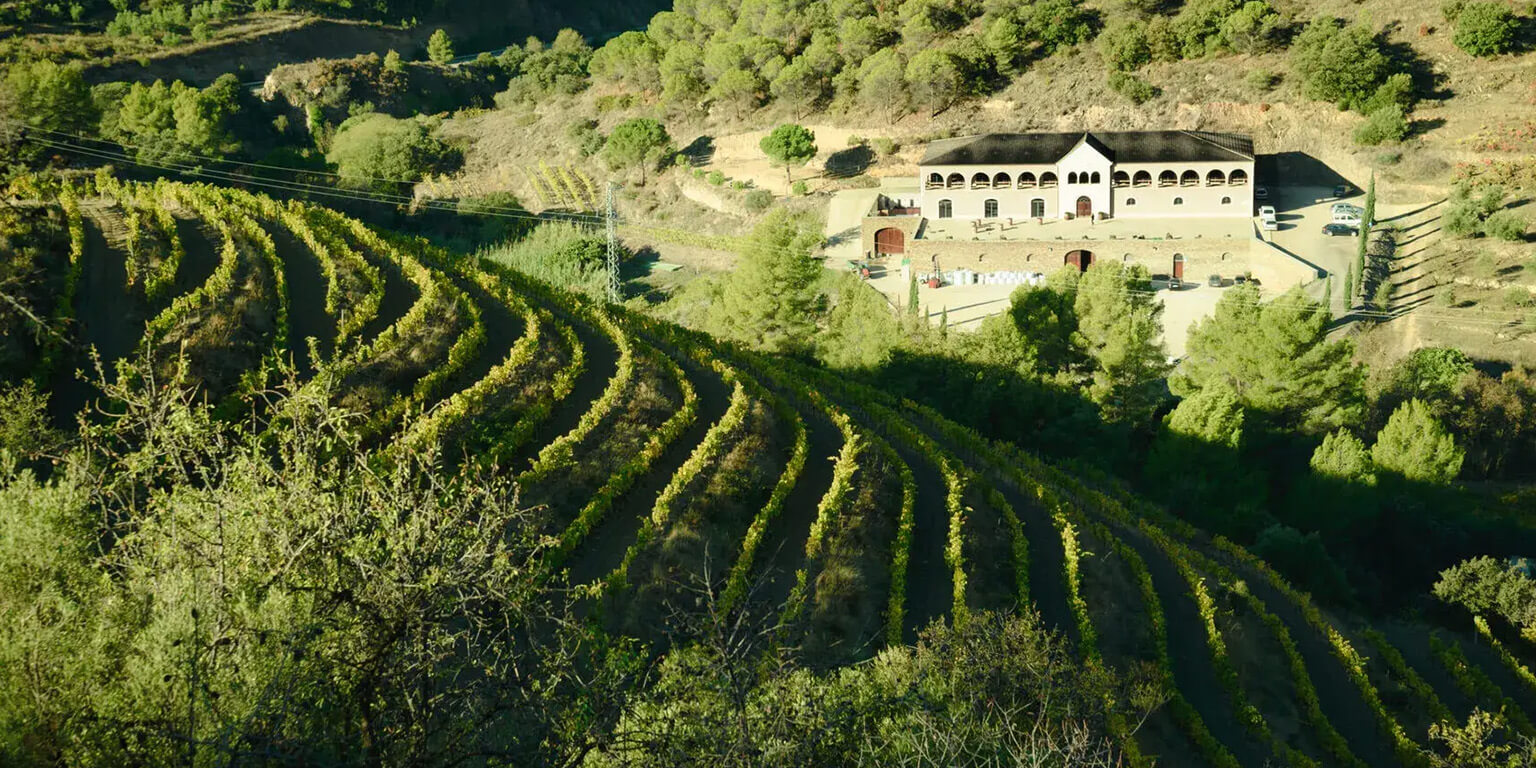Vinařství Bodegas Mas Alta